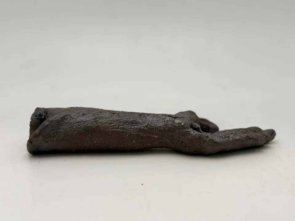 From the other side, the forearm in front.