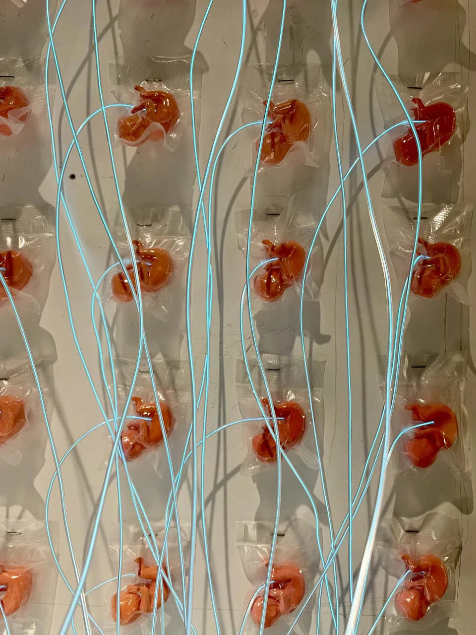 Detail: the sealed fetus forms on the wall, the blue wires threading through them.