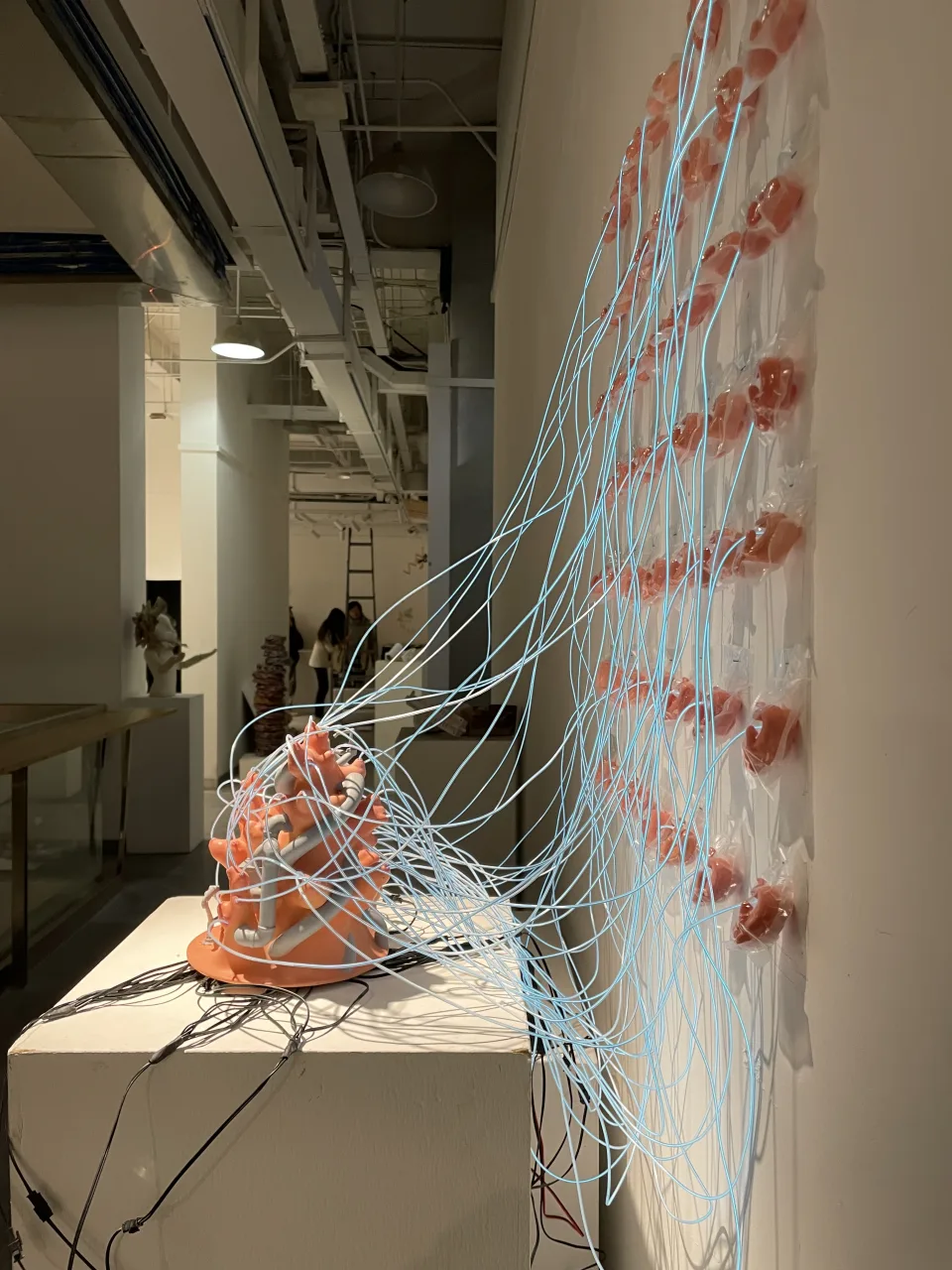 The installation in the gallery, seen from the side along the wall.