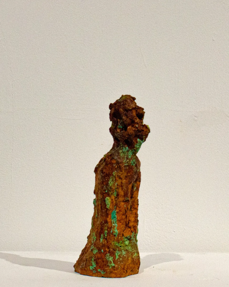 Three-quarter view, the head turned to one side.