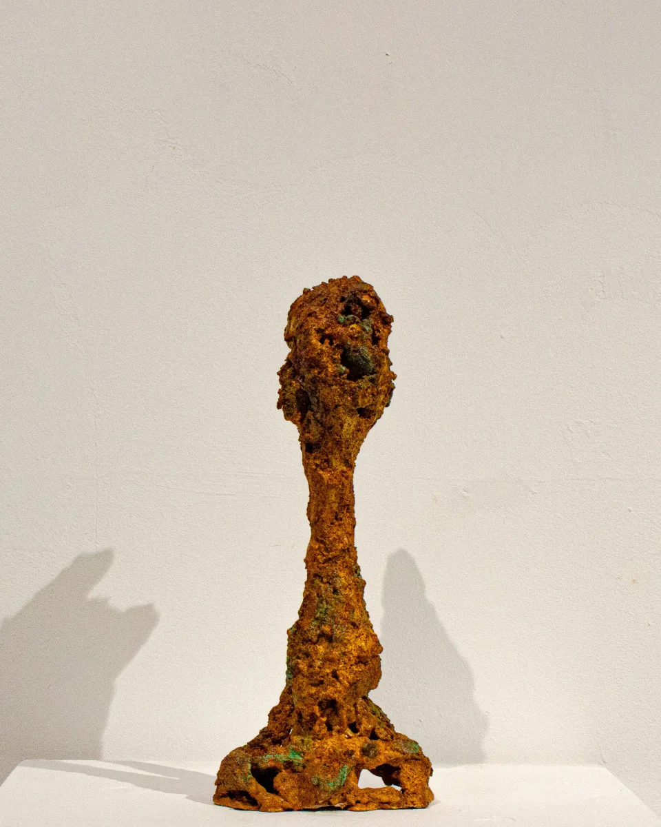 From the front: the head a perforated bulb on a single stem.