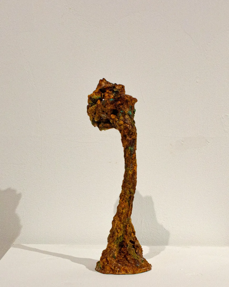 측면. 굽은 목 끝에서 머리가 앞으로 숙여져 있다.
