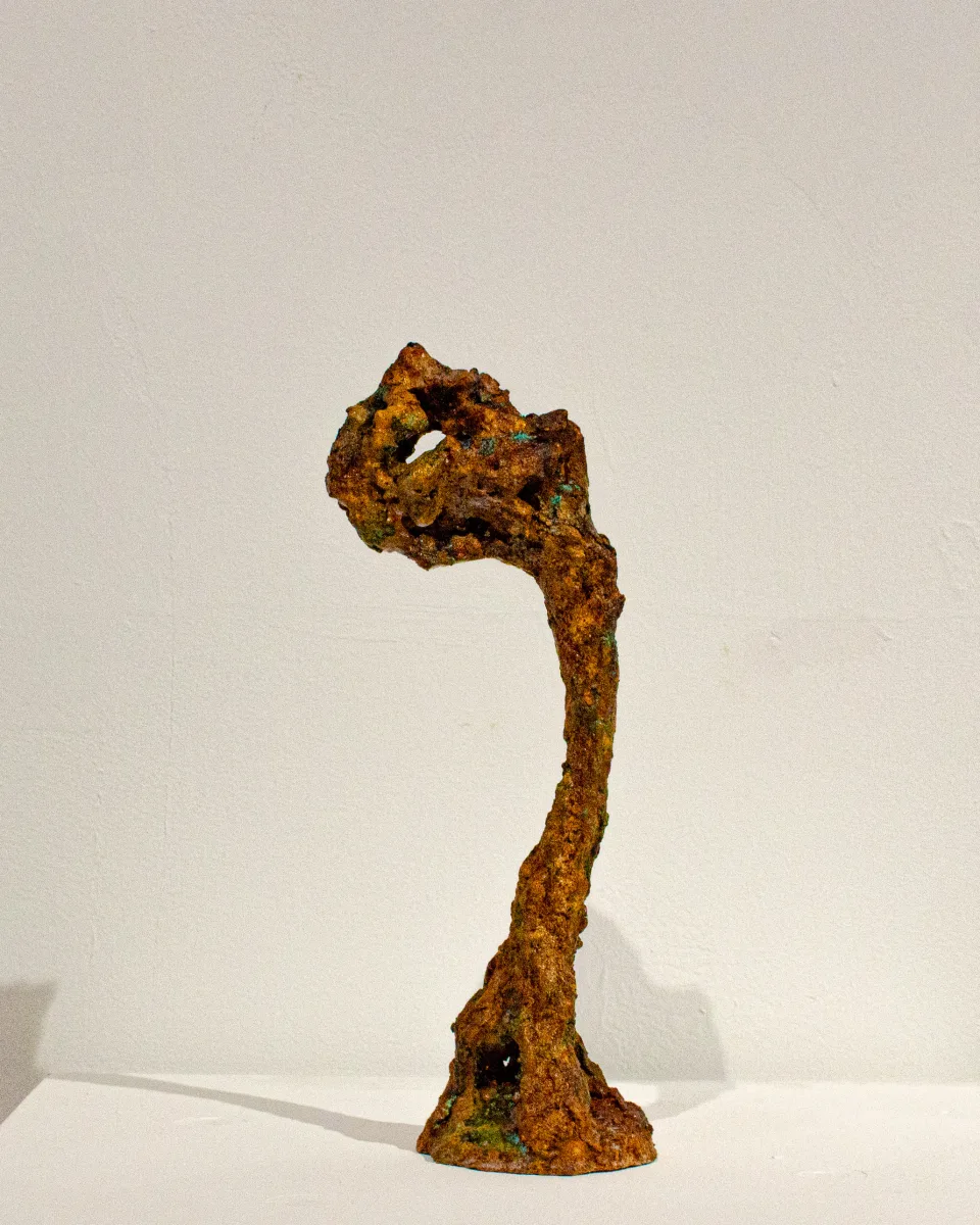 반대쪽 측면. 갈고리처럼 굽은 머리가 고리로 열려 있다.
