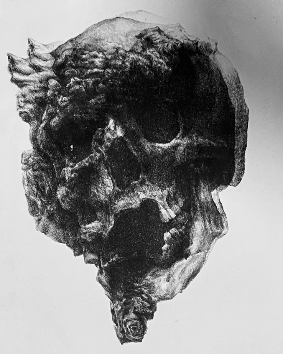 An impression with heavy black across the face.
